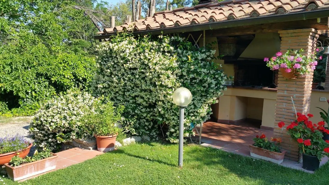 Villaspino Capolona Italie