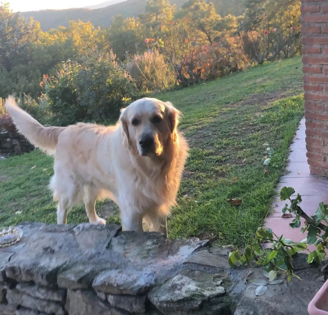 Villaspino Capolona